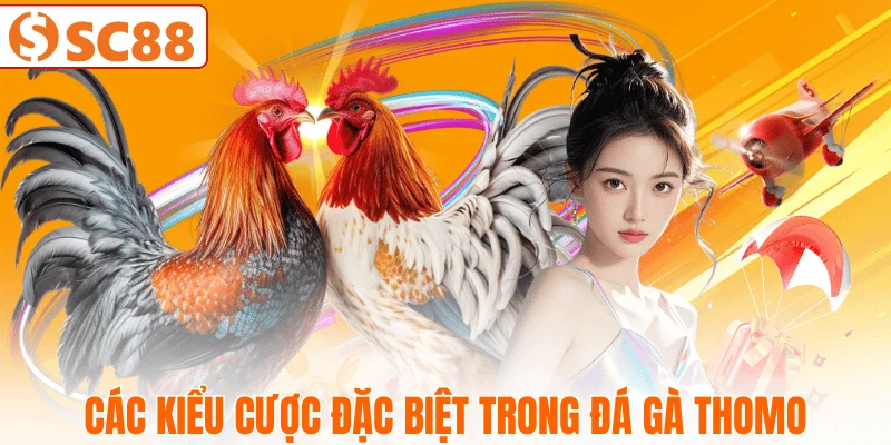 cac-kieu-cuoc-dac-biet-da-ga-thomo