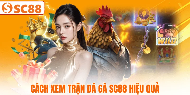 cach-theo-doi-tran-da-ga-sc88-chuan-xac