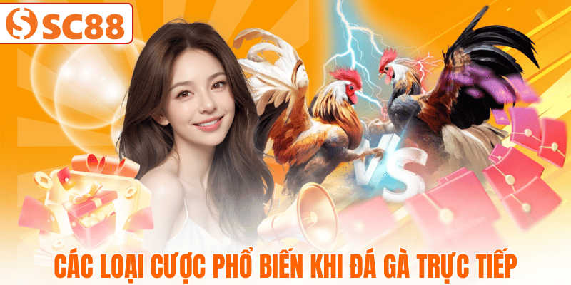 kieu-cuoc-da-ga-truc-tiep-thuong-gap