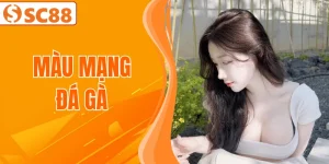 mau-mang-da-ga