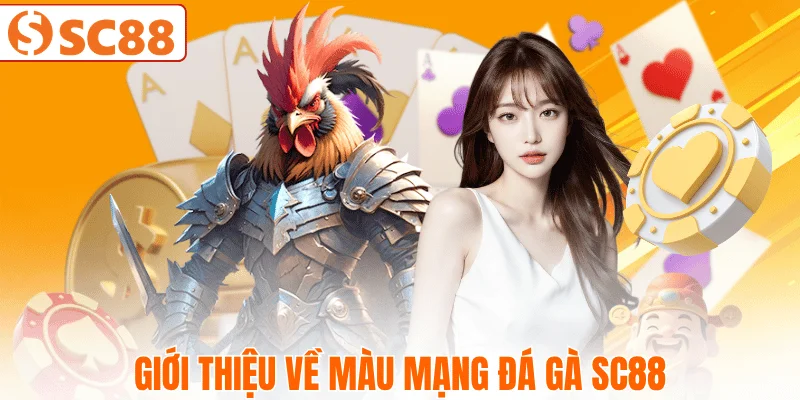 mau-mang-da-ga-la-gi-trong-cuoc-choi