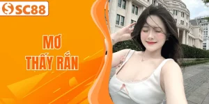 mo-thay-ran