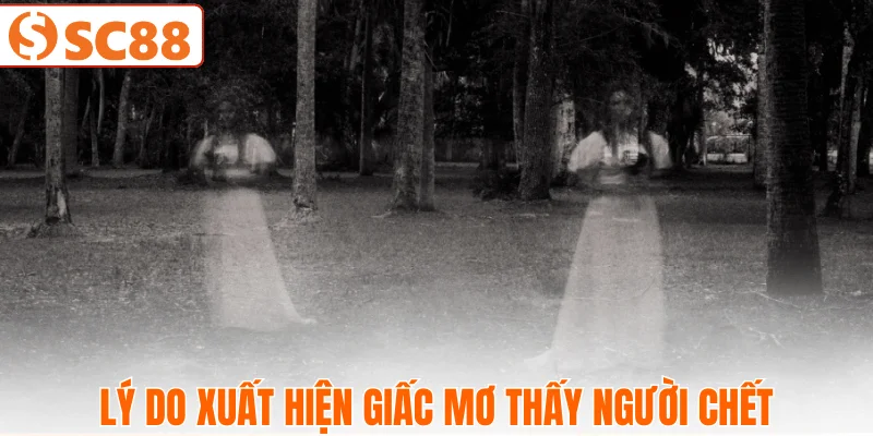 nguyen-nhan-gay-ra-giac-mo-ky-la