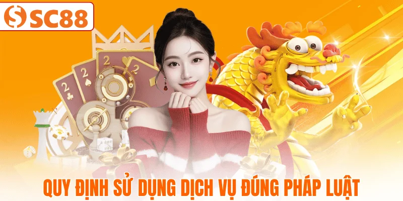quy-tac-su-dung-he-thong-sc88