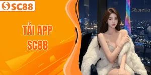 tai-app-sc88
