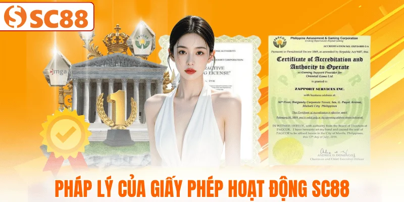 thong-tin-phap-ly-he-thong-sc88